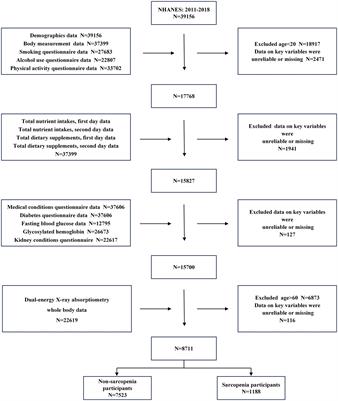 Association of vitamins B1 and B2 intake with early-onset sarcopenia in the general adult population of the US: a cross-sectional study of NHANES data from 2011 to 2018